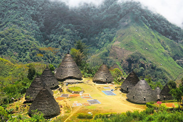 Khoa học gia: Trên hòn đảo của Indonesia khả năng vẫn có chủng người tí hon sinh sống