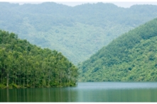 Tin Việt Nam ngày 25/5: Vỡ đập chứa nước sân golf Tam Đảo ở Vĩnh Phúc, Tân Hoàng Minh nộp gần 300 tỷ đồng