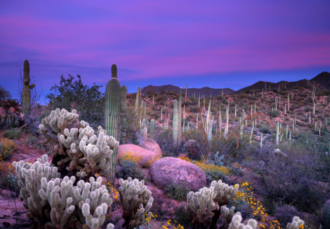 Hoa Kỳ tươi đẹp: Bộ sưu tập ảnh tất cả 63 Công viên Quốc gia 