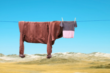 Nghệ thuật sắp đặt vật dụng hàng ngày thành các nhân vật siêu thực