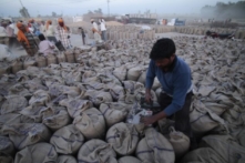 Ấn Độ sẽ cho phép xuất cảng các lô hàng lúa mì đã đăng ký trước hôm 13/05