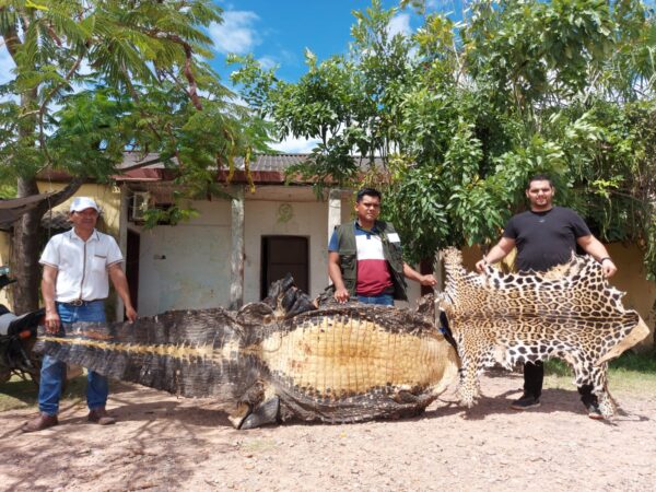 Nạn buôn lậu động vật quý hiếm của người Trung Quốc nở rộ ở Bolivia