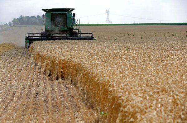 ‘Cơn bão hoàn hảo’ tấn công hoạt động trồng trọt của nông dân Hoa Kỳ