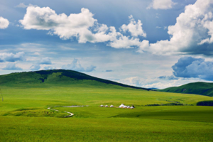 Thưởng thức ‘Điệu múa bát Mông Cổ,’ cảm nhận trà sữa Mông Cổ và nhiệt huyết ngàn năm không đổi 