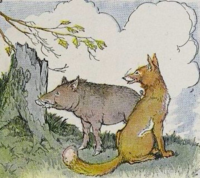 Truyện ngụ ngôn Aesop:  Lợn rừng và cáo