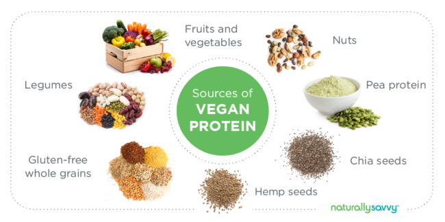 nguồn cung cấp protein tốt nhất cho người ăn chay