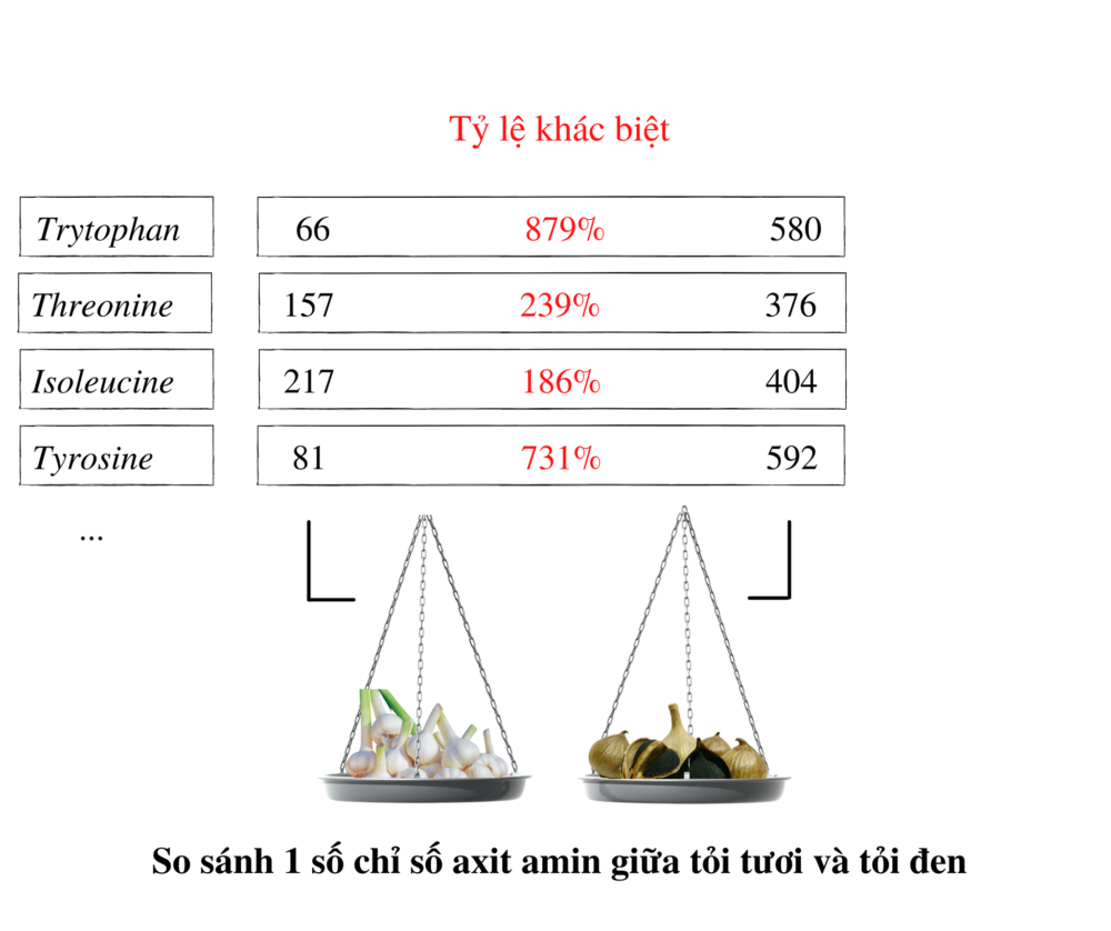 tỏi đen chống oxy hóa