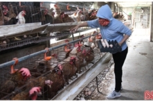 Tin Việt Nam ngày 9/6: Giá trứng gà Bắc-Nam nơi giảm, nơi lại tăng kỷ lục, Trung Quốc đồng ý nhập chanh leo Việt