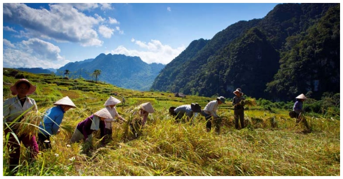 Tin Việt Nam ngày 6/6: Giá cám gạo tăng cao kỷ lục, giá xăng còn bao nhiêu nếu bỏ thuế, phí? Đề nghị mức thuế 5% với phân bón