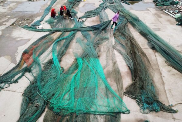 Trung Quốc phát triển ngư nghiệp ở Nam Thái Bình Dương, Mỹ tăng cường giám sát đánh bắt cá trái phép