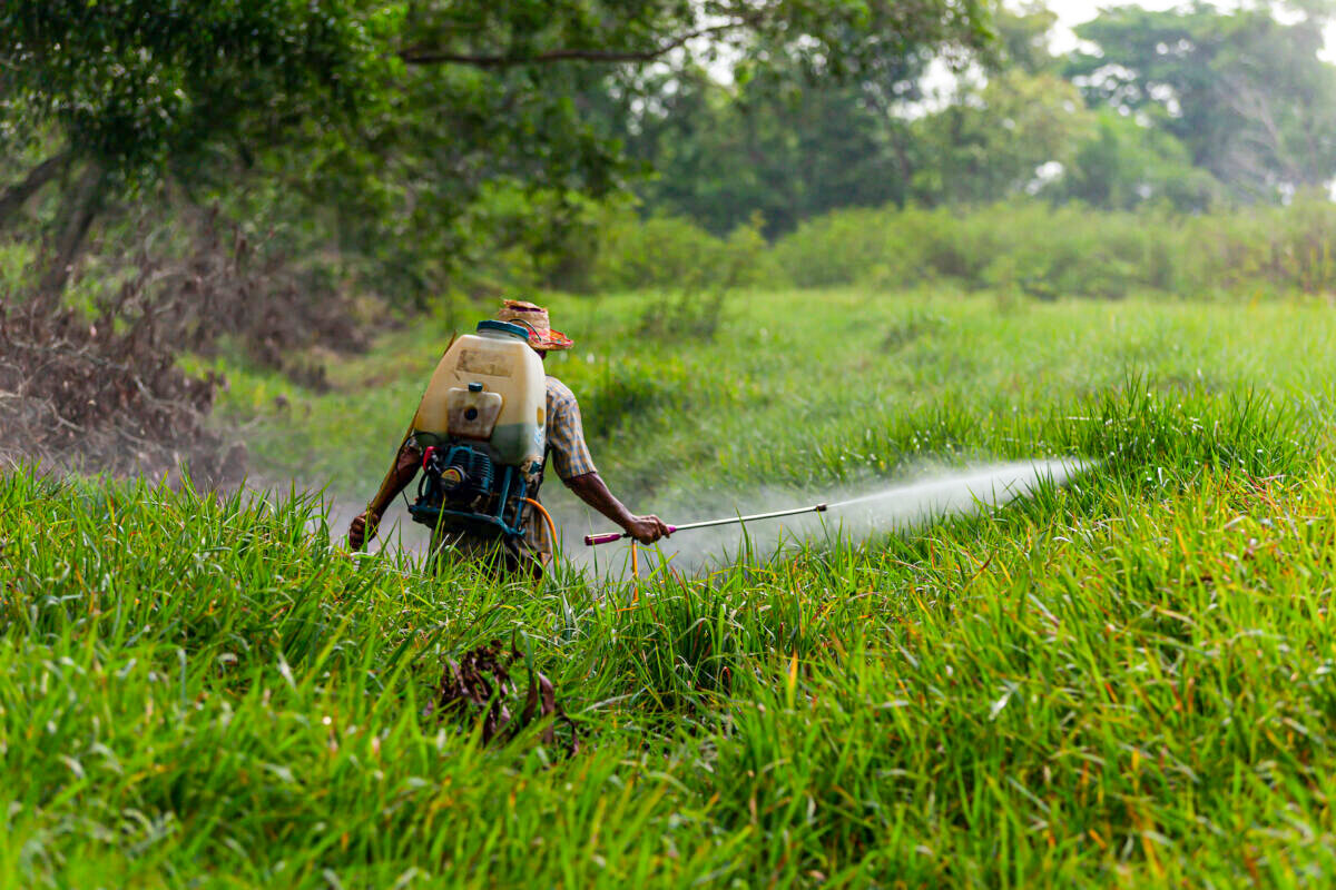 Nói không với Glyphosate trong thực phẩm và môi trường của chúng ta