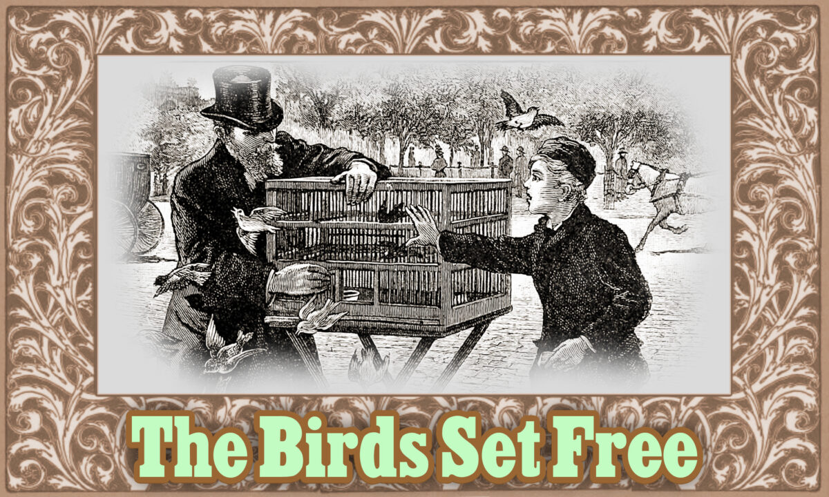 Truyện ngắn McGuffey: Những chú chim được thả tự do