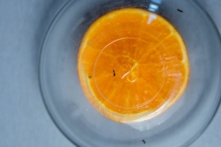 Kiến sợ nhất là gì? 4 cách để xua đuổi đội quân kiến ​​phiền phức