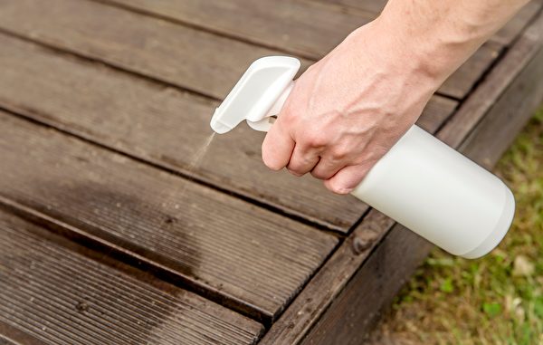 Kiến sợ nhất là gì? 4 cách để xua đuổi đội quân kiến ​​phiền phức