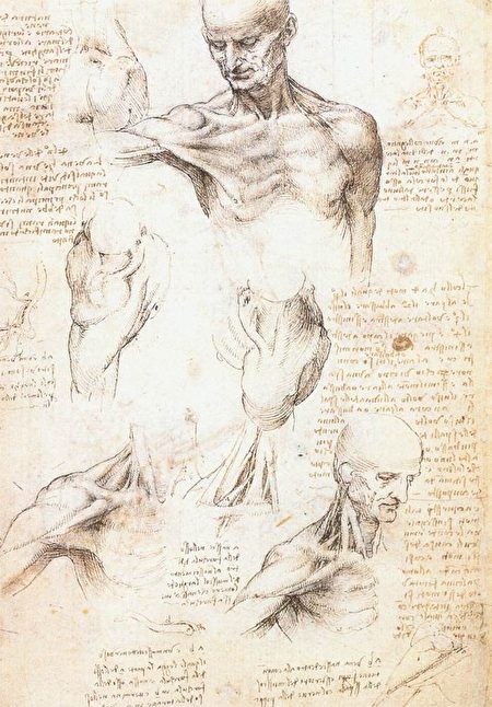 Nghệ thuật gia kỳ tài – Leonardo da Vinci (P.6): Thánh Jerome cầu nguyện nơi hoang dã