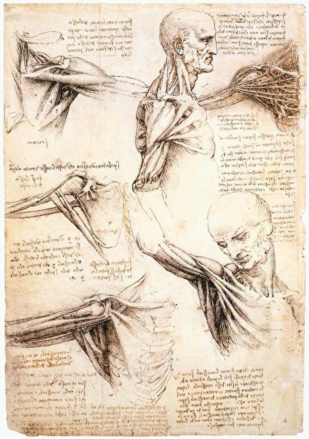 Nghệ thuật gia kỳ tài – Leonardo da Vinci (P.6): Thánh Jerome cầu nguyện nơi hoang dã
