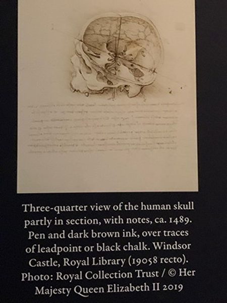 Nghệ thuật gia kỳ tài – Leonardo da Vinci (P.6): Thánh Jerome cầu nguyện nơi hoang dã