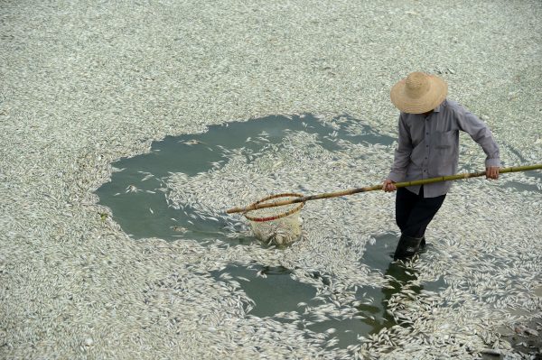 3 lý do các công ty Trung Quốc nên bị loại khỏi đầu tư ESG