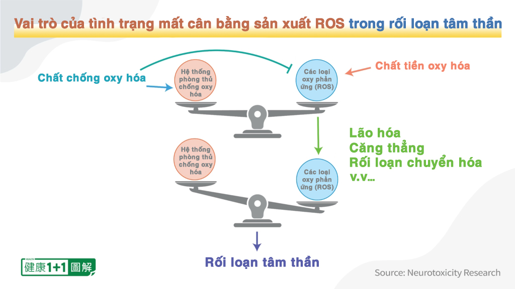 Những thực phẩm giúp sửa chữa DNA tổn thương trong não