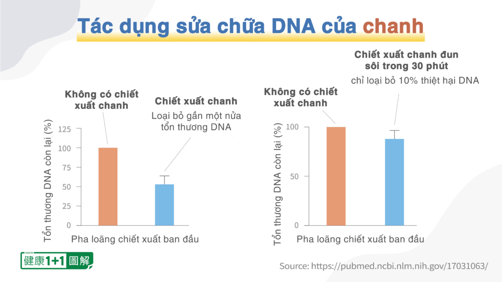 Những thực phẩm giúp sửa chữa DNA tổn thương trong não