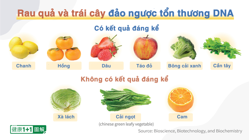 Những thực phẩm giúp sửa chữa DNA tổn thương trong não