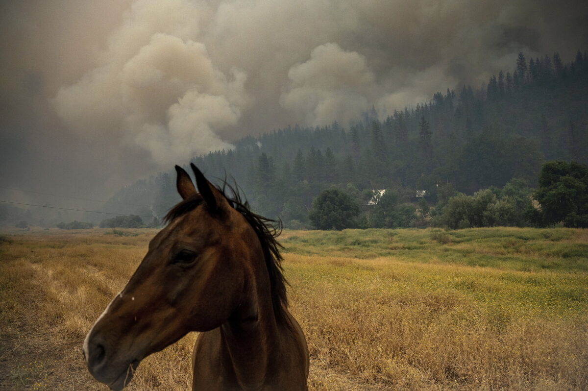 Các đám cháy phía Tây lan rộng, California chứng kiến vụ cháy rừng lớn nhất năm 2022