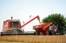 Nông dân Argentina chống lại thuế xuất cảng gây tê liệt thị trường