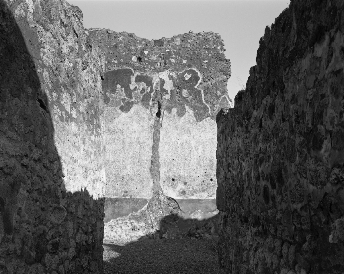 Thành phố Pompeii xuyên thời gian qua bộ ảnh của nhiếp ảnh gia William Wylie