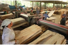 Tin Việt Nam ngày 10/08: Hoa Kỳ áp thuế lên gần 195% với gỗ dán Việt dùng nguyên liệu từ Trung Quốc; giá thép giảm lần thứ 13