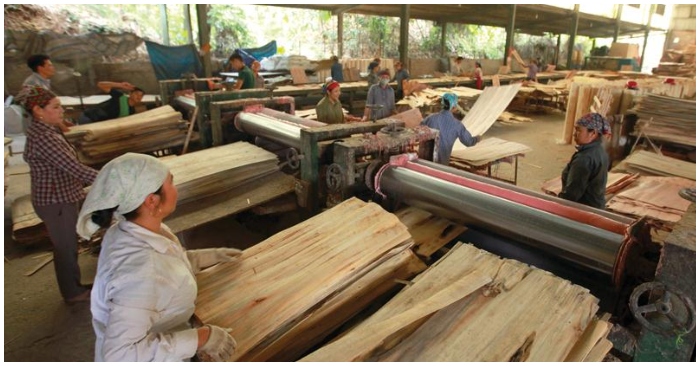 Tin Việt Nam ngày 10/08: Hoa Kỳ áp thuế lên gần 195% với gỗ dán Việt dùng nguyên liệu từ Trung Quốc; giá thép giảm lần thứ 13