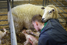 Các chuyên gia: Cần có làn gió mới cho vụ mùa của nông dân Vương quốc Anh