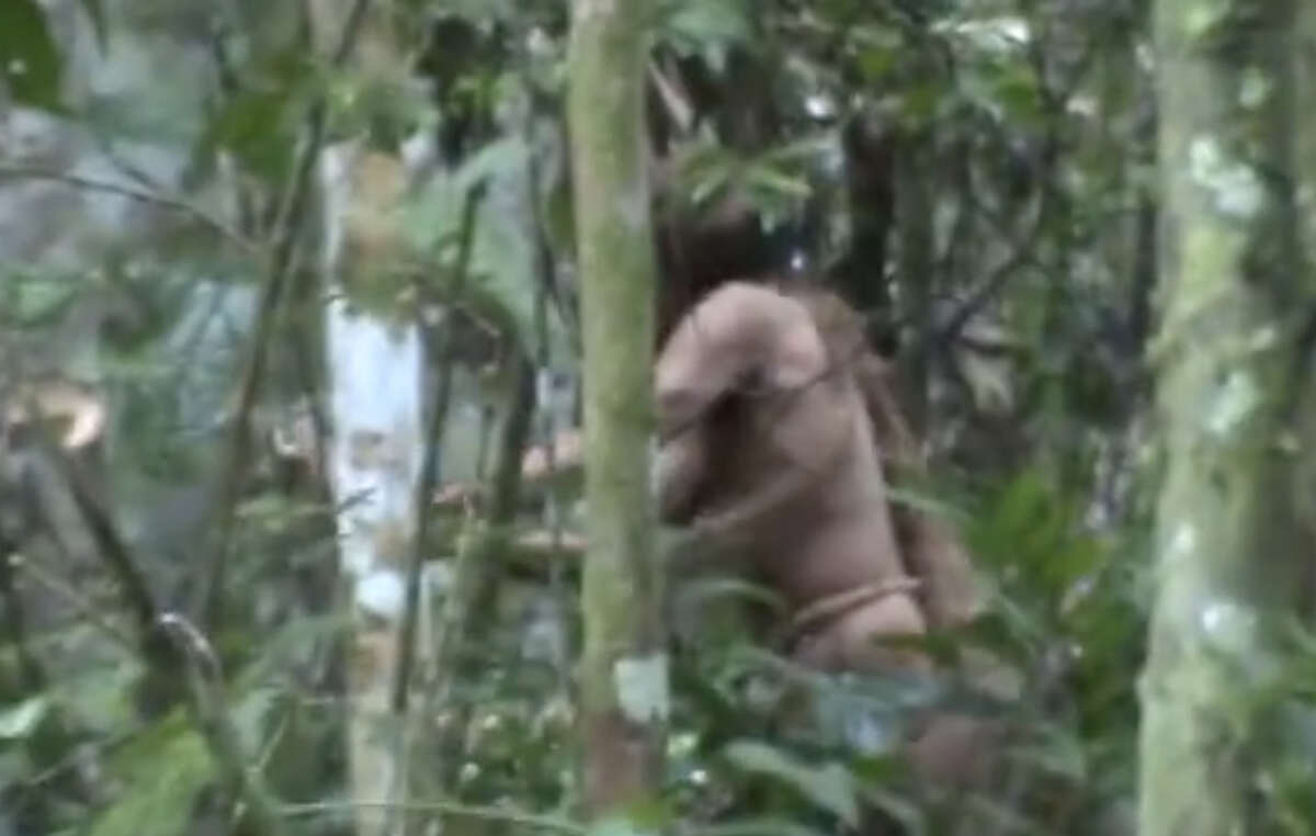 ‘Người đàn ông trong hang’, thổ dân cuối cùng của một bộ lạc Amazon đã qua đời