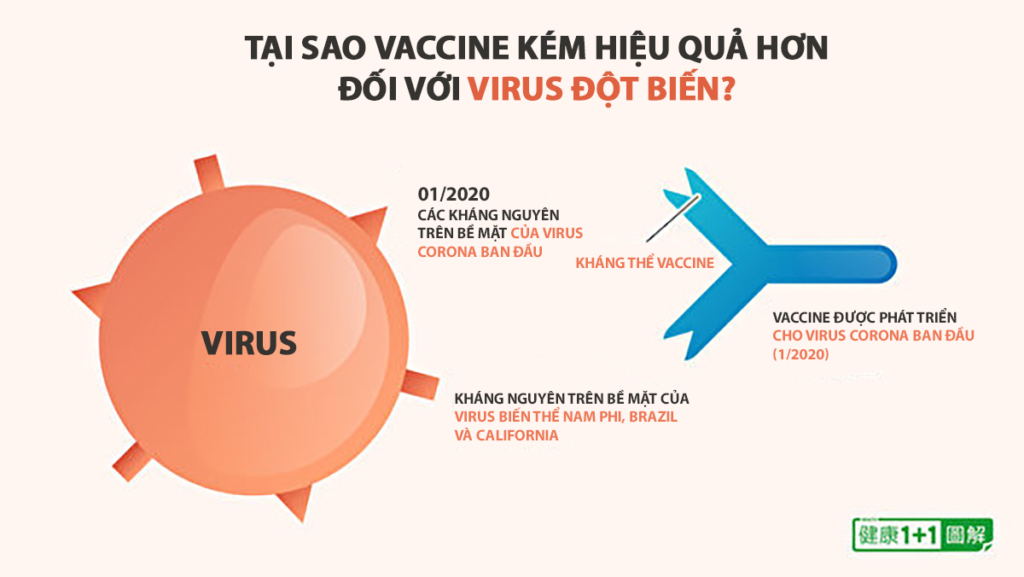 Hệ thống miễn dịch của bạn mạnh hơn cả vaccine! Điều nên làm để tăng cường khả năng miễn dịch