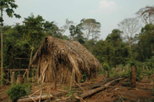 ‘Người đàn ông trong hang’, thổ dân cuối cùng của một bộ lạc Amazon đã qua đời