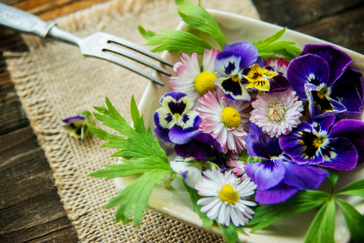 9 loại hoa thơm ngon và tốt cho sức khỏe