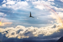 Tam Tự Kinh – Đọc sách luận bút (P.25): Câu chuyện ‘Một tiếng kinh người’