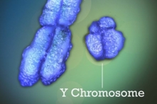 Tại sao tuổi thọ của đàn ông ngắn hơn phụ nữ? Nghiên cứu tìm ra lý do chính