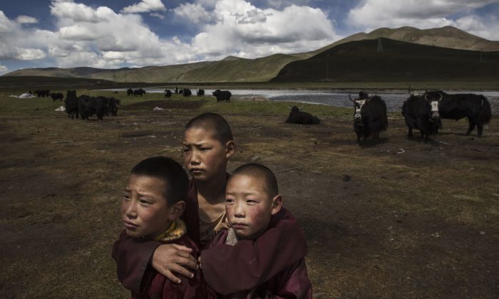 Trung Quốc: Trẻ em Tây Tạng là mục tiêu của chiến dịch thu thập DNA hàng loạt