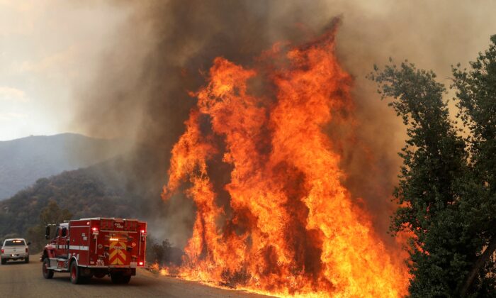 Đám cháy phía nam California thiêu rụi 36 công trình, hiện ngăn chặn được 53%