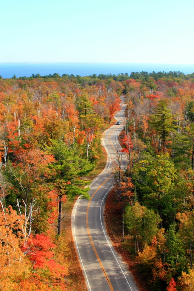 Mùa thu, mùa chim di cư tại tiểu bang Wisconsin