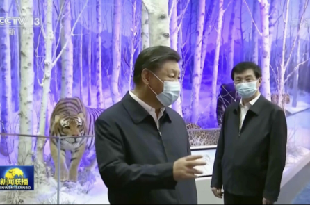 Ông Tập xuất hiện trước công chúng, xua tan tin đồn về bất ổn và đảo chính ở Trung Quốc