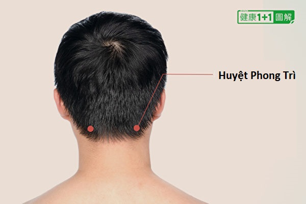 4 huyệt đạo và một loại trà có tác dụng giảm huyết áp 