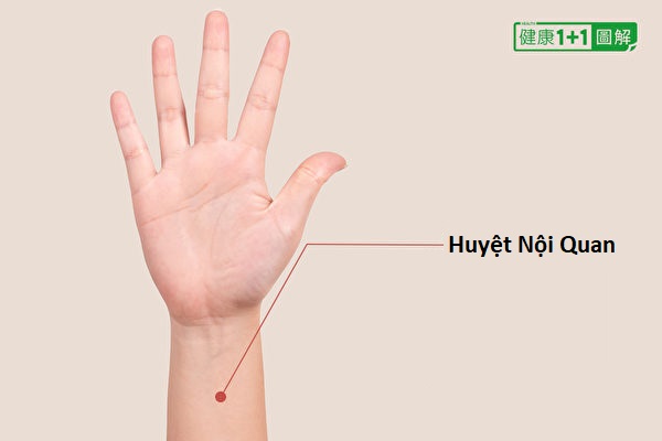 4 huyệt đạo và một loại trà có tác dụng giảm huyết áp 