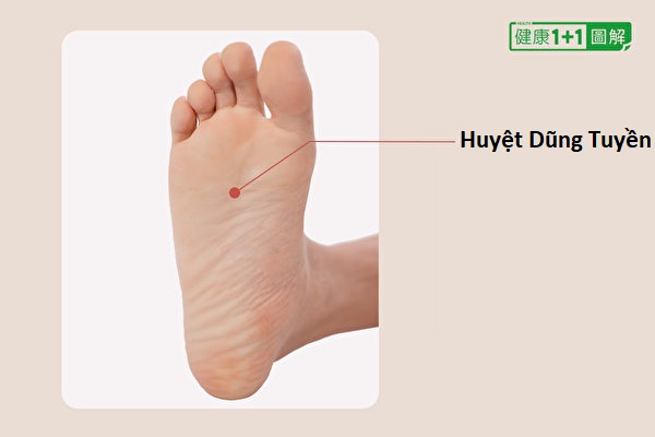 4 huyệt đạo và một loại trà có tác dụng giảm huyết áp 