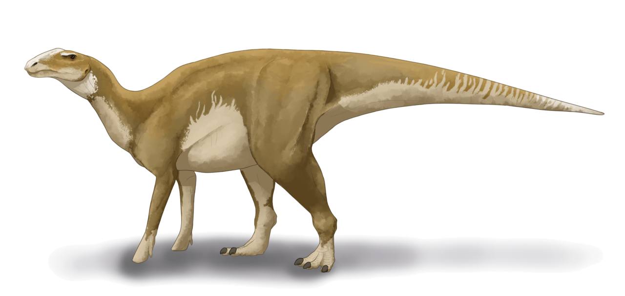 'Xác ướp khủng long' quý hiếm với lớp da bảo quản tốt được tìm thấy ở Canada