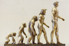 Những sơ hở khó bào chữa của thuyết tiến hóa (P.6): Những ngộ nhận và điểm mù [2] 