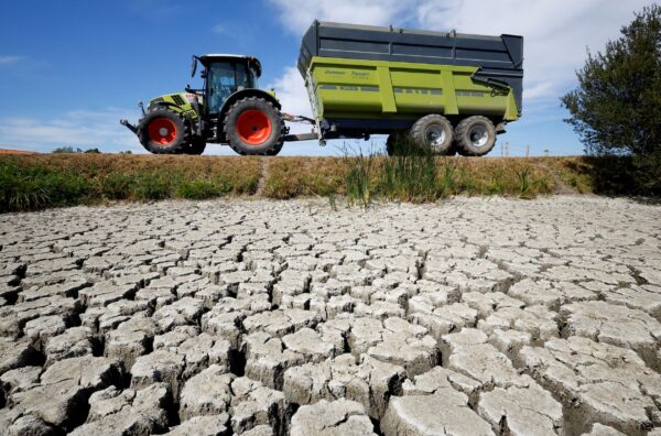 Hạn hán, chiến tranh Ukraine đẩy dự trữ ngũ cốc toàn cầu xuống mức thấp đáng lo ngại
