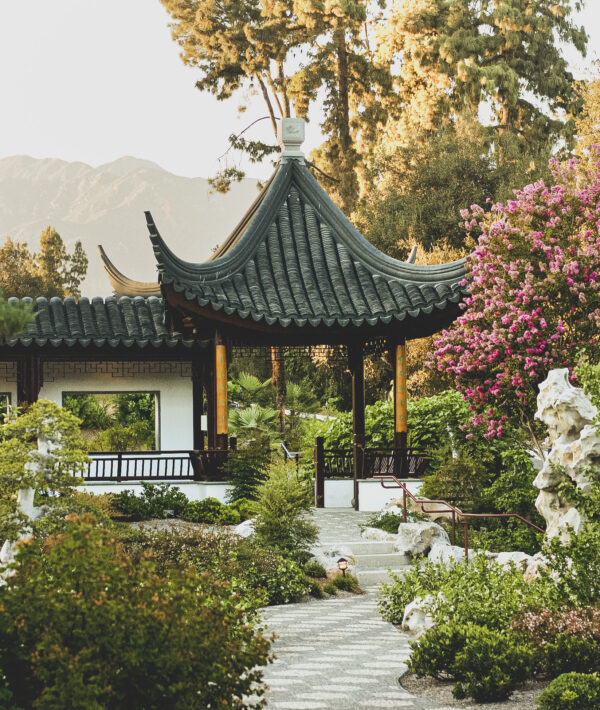 Khu vườn Trung Hoa ở Huntington Library: Thăm quan công trình kiến trúc và vườn bách thảo đẹp nhất California