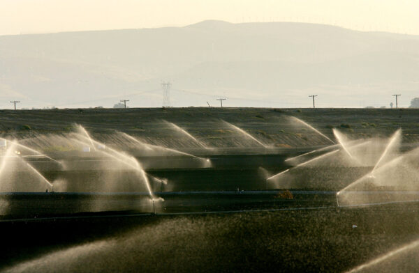 Các cơ quan nước và nông dân California hợp tác cùng nhau để bảo tồn nước ở vùng châu thổ