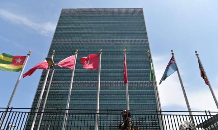 Cơ quan Liên Hiệp Quốc muốn lạm phát được giải quyết bằng các biện pháp kiểm soát giá cả, thuế bạo lợi, các quy định chặt chẽ hơn